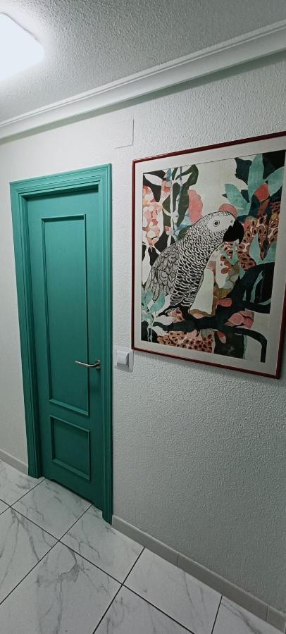 Apartament Casa Milo Playa Los Locos 托雷维耶哈 外观 照片