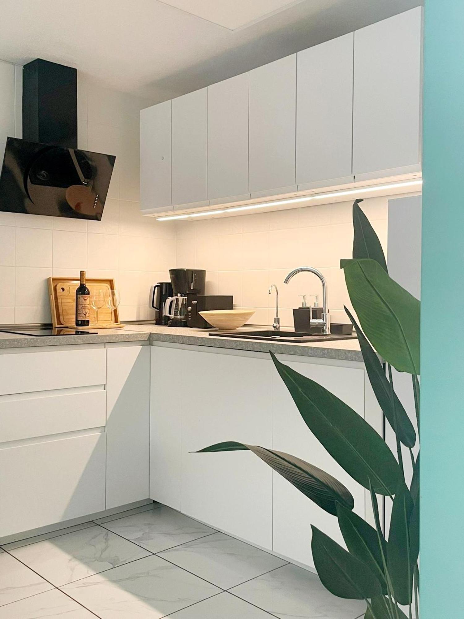 Apartament Casa Milo Playa Los Locos 托雷维耶哈 外观 照片